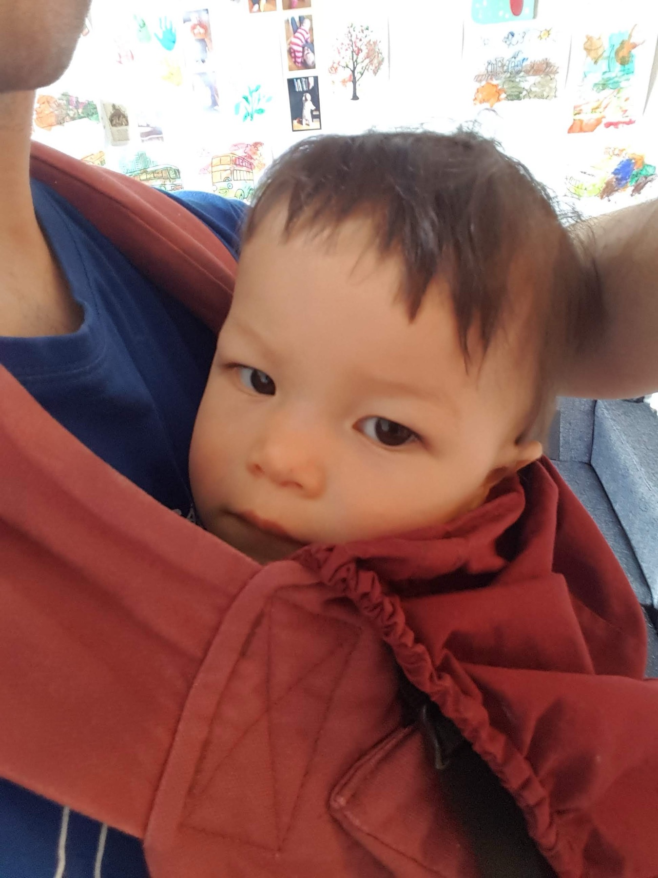 Mia figlia nel marsupio bordeaux guarda intorno dal mio petto dopo aver smesso di usare l’inserto neonato.