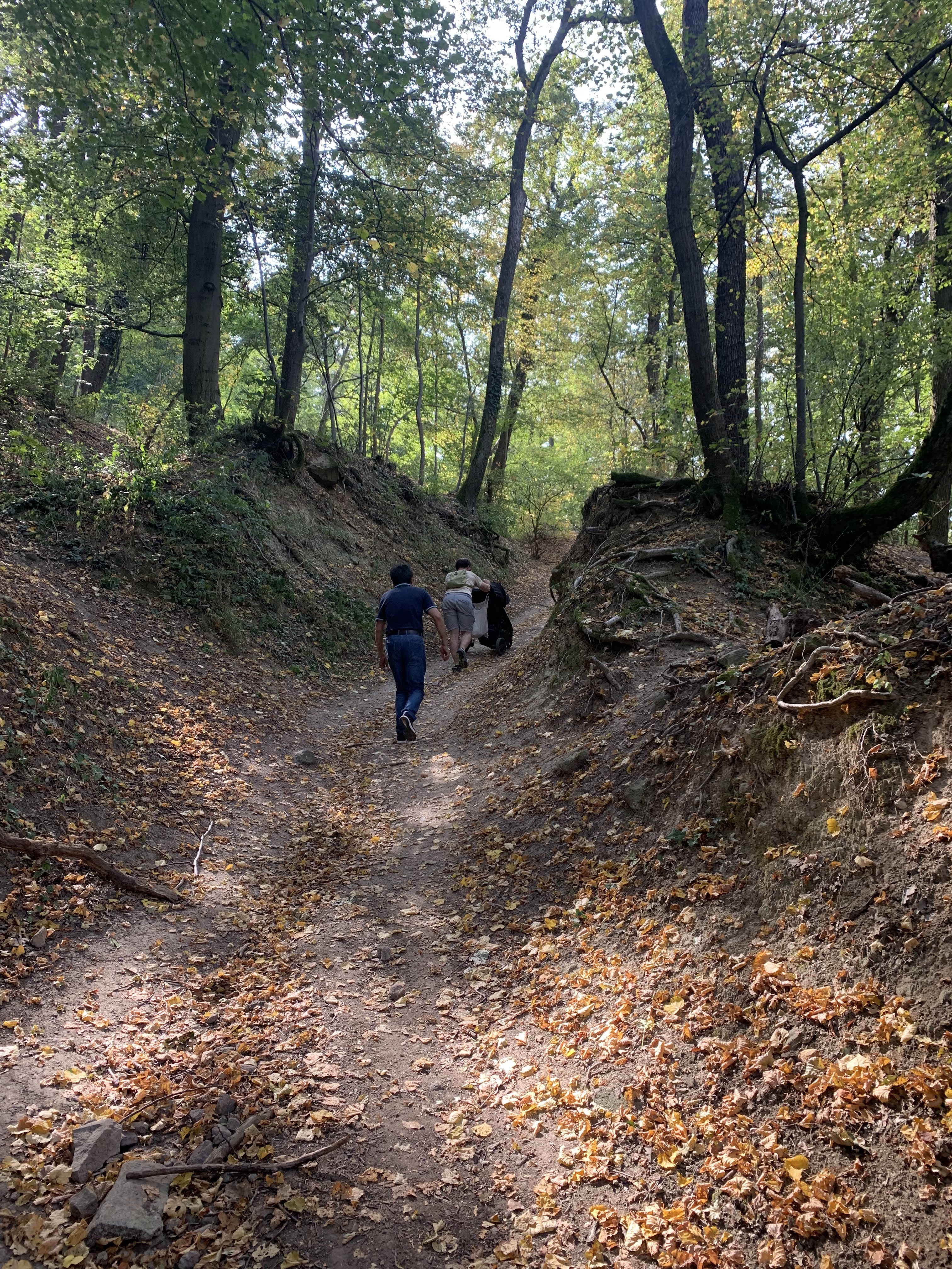 A shaded uphill forest path in Visegrad, where our shortcut became more of a climb than a normal stroller walk.