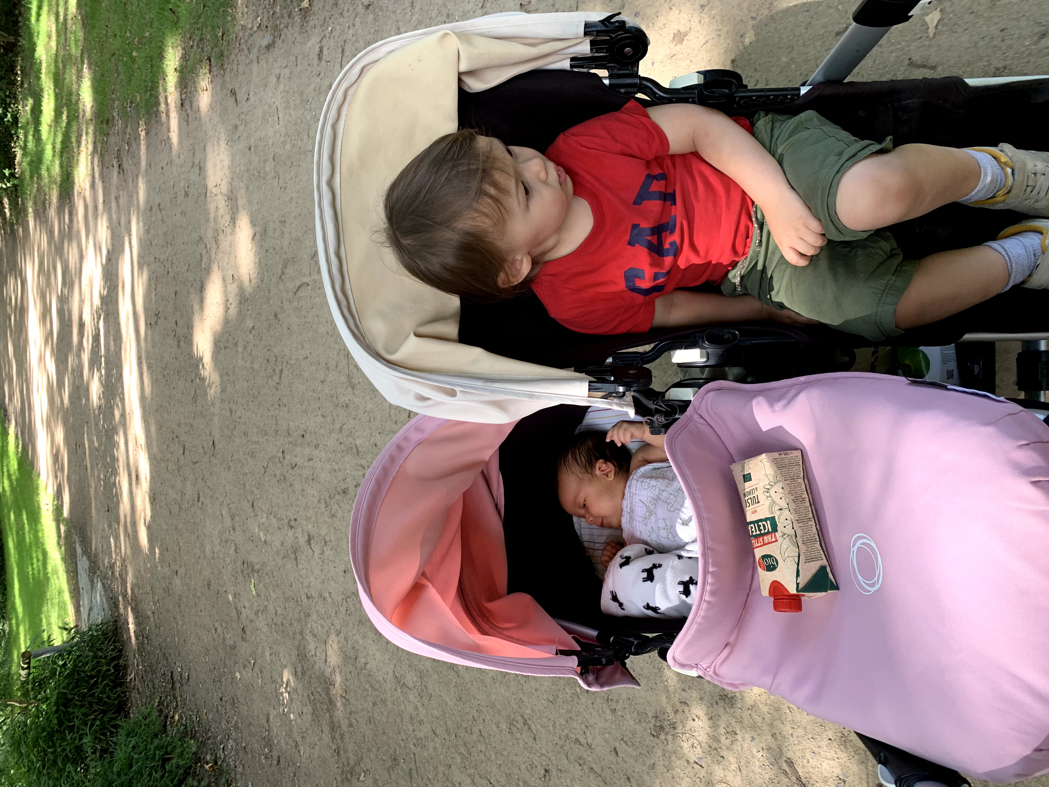 我的儿子和女儿坐在 Bugaboo Donkey 5 里。