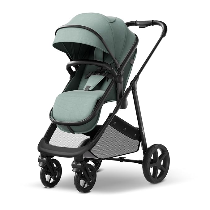 Mompush Wiz