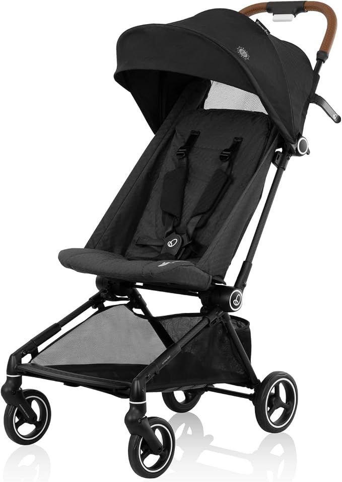 Evenflo Hummingbird Stroller