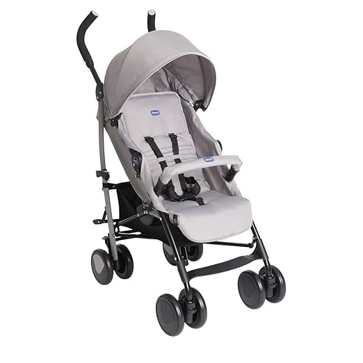 Chicco Echo Lite