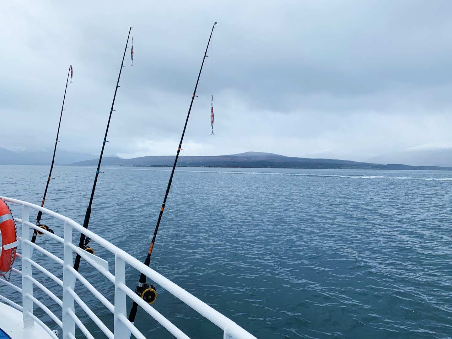 Angelruten auf unserer Bootstour ab Tromso, mit kaltem arktischem Wasser und Bergen im Hintergrund.