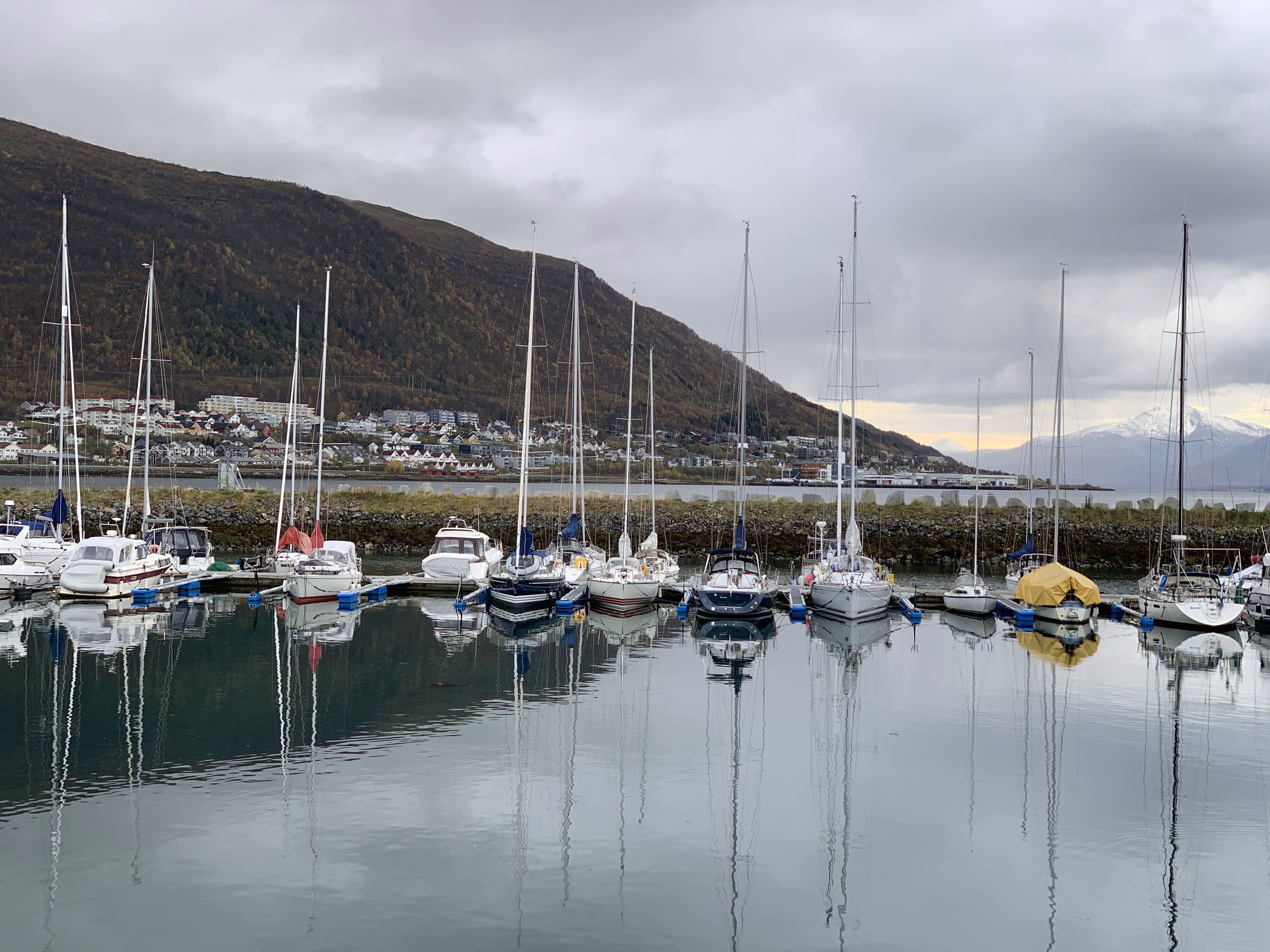 Der graue Hafenblick, den wir für unseren ersten einfachen Tromso-Spaziergang nutzten, mit Masten, Häusern am Hang und Schnee in der Ferne.