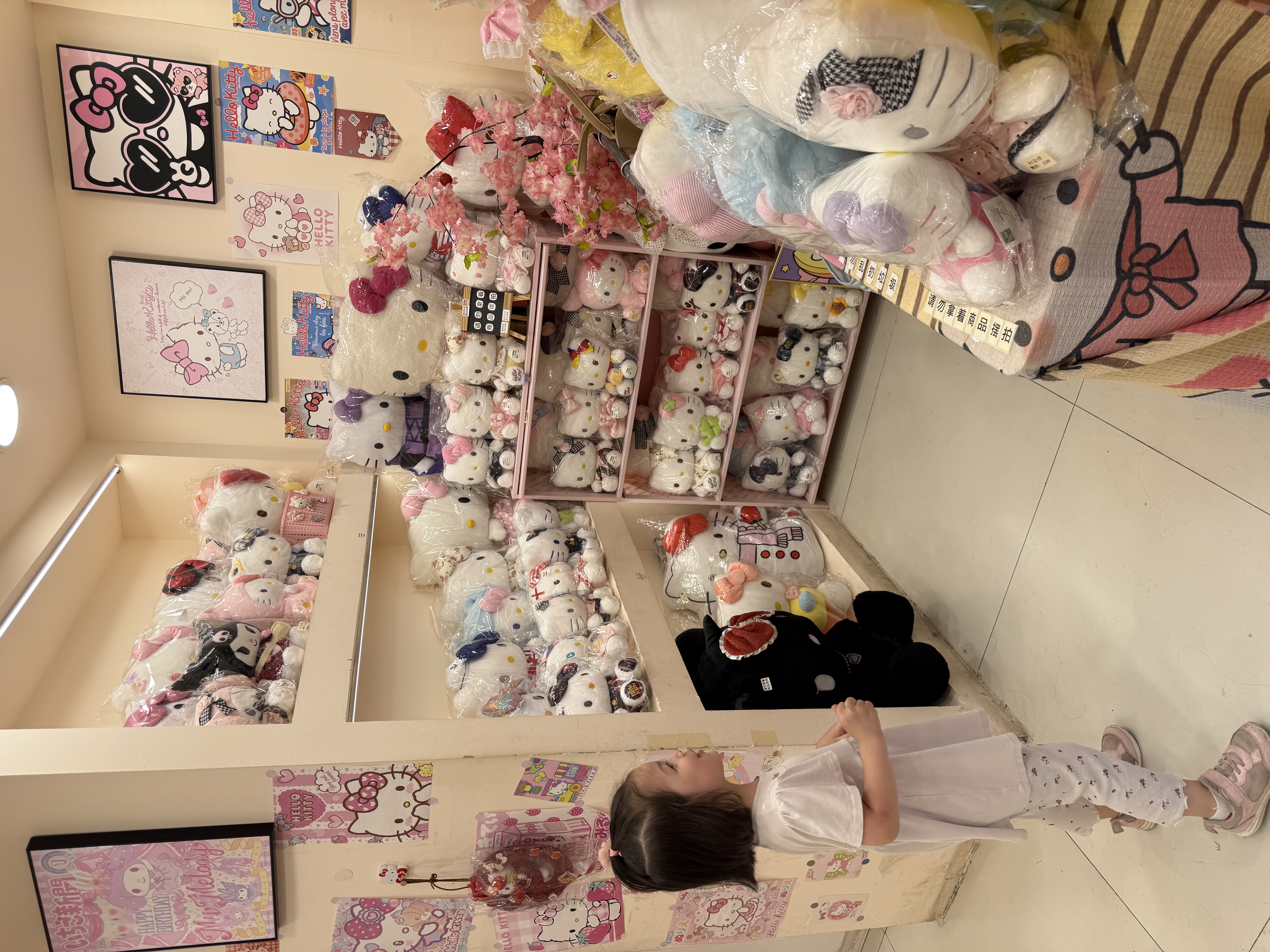 Notre fille regarde les objets Hello Kitty au marché Qingyun.